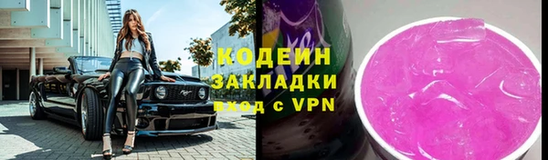 индика Балахна