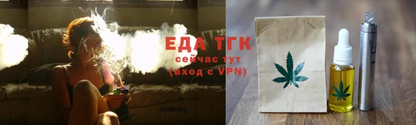 индика Балахна