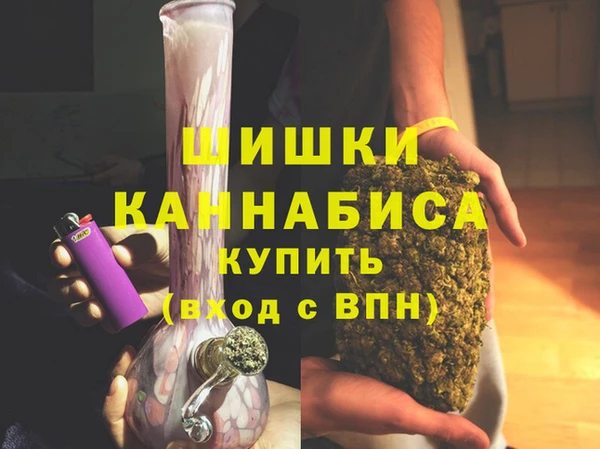 индика Балахна
