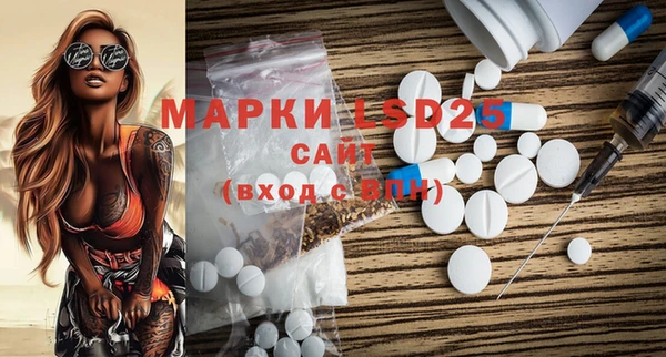 индика Балахна
