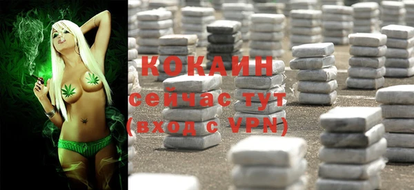 индика Балахна
