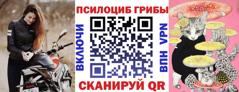 купить закладку  Ермолино  Псилоцибиновые грибы ЛСД 
